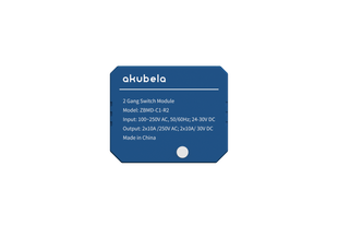 Вимикач двоканальний ZBMD-C1-R2